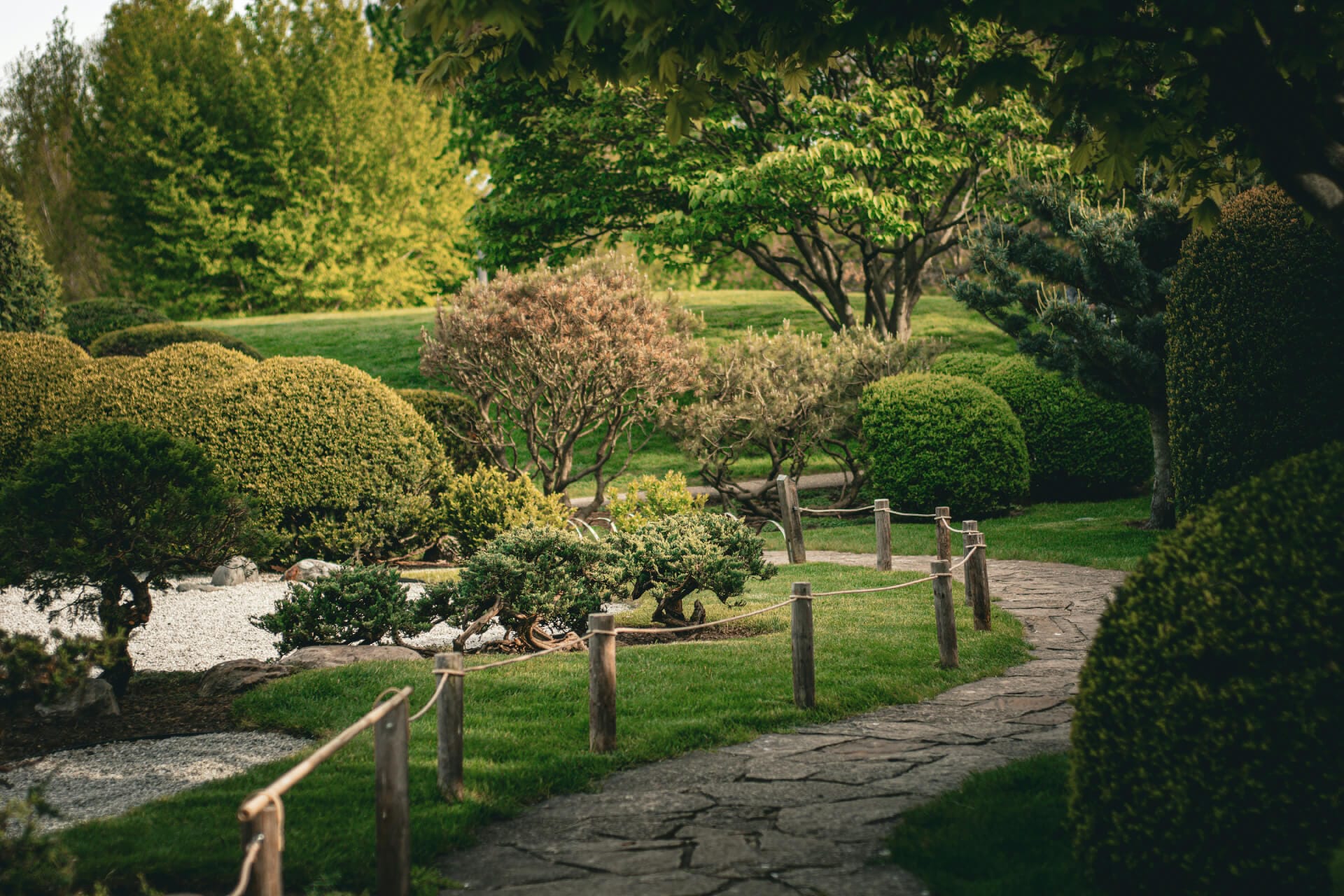 Mon alt SEO par défaut