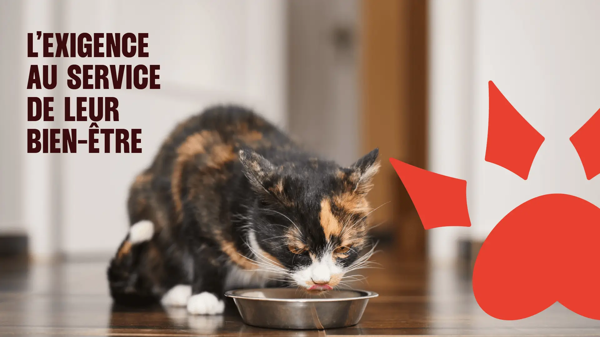 Helloweb l'agence web au Havre spécialisée en création de site internet