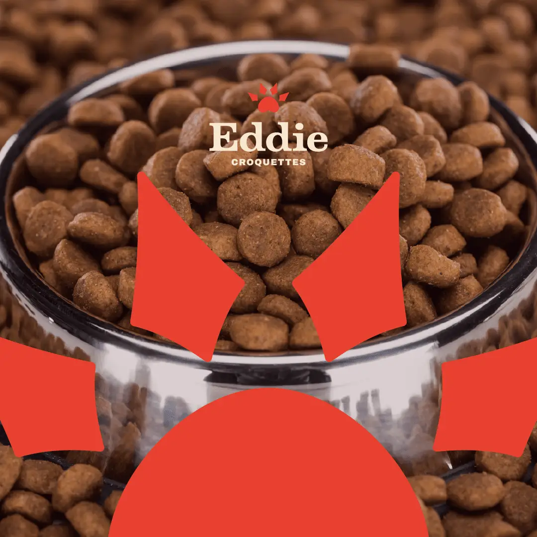 Helloweb l'agence web au Havre spécialisée en création de site internet