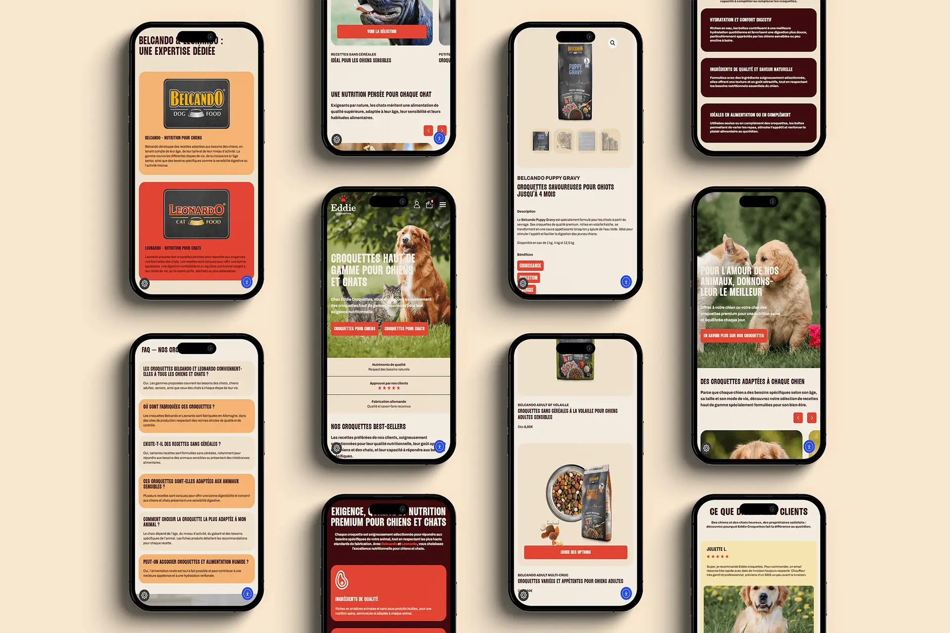 Helloweb l'agence web au Havre spécialisée en création de site internet